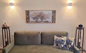 Ilias Home Arachova